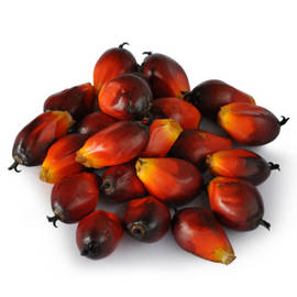 Palm olein